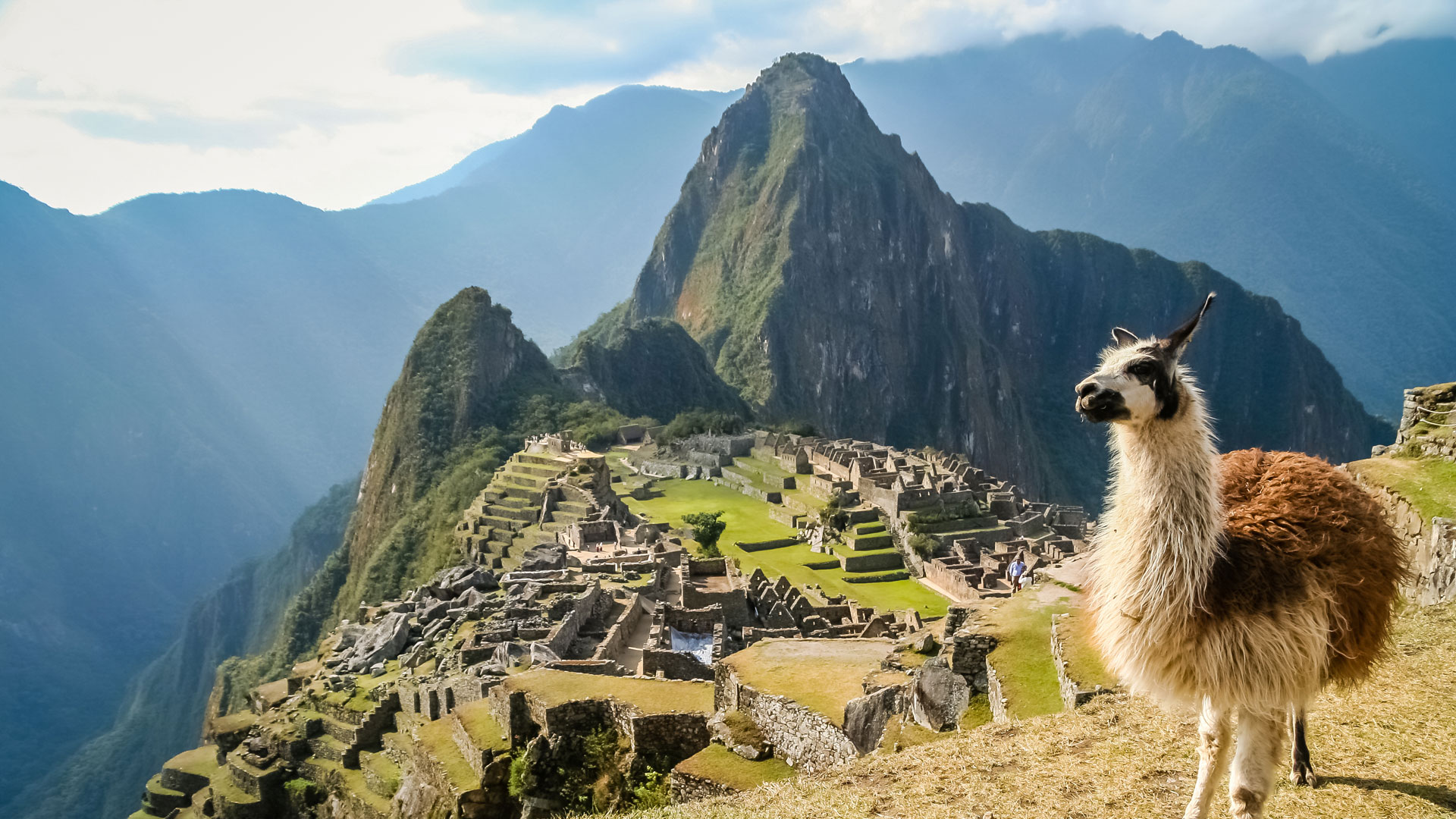 Lama-and-Machu-Picchu-in-Peru-in-South-America